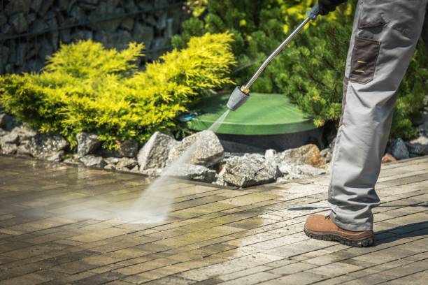 Best Winterizing Services  in Janesville, CA